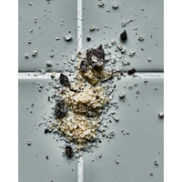 Mushroom Salt Grinder by Nicolas Vahé (330g)