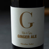 Ginger Ale by Nicolas Vahe