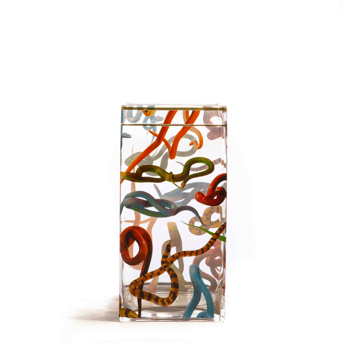 Seletti x TOILETPAPER Square Glass Vase - Medium & Large
