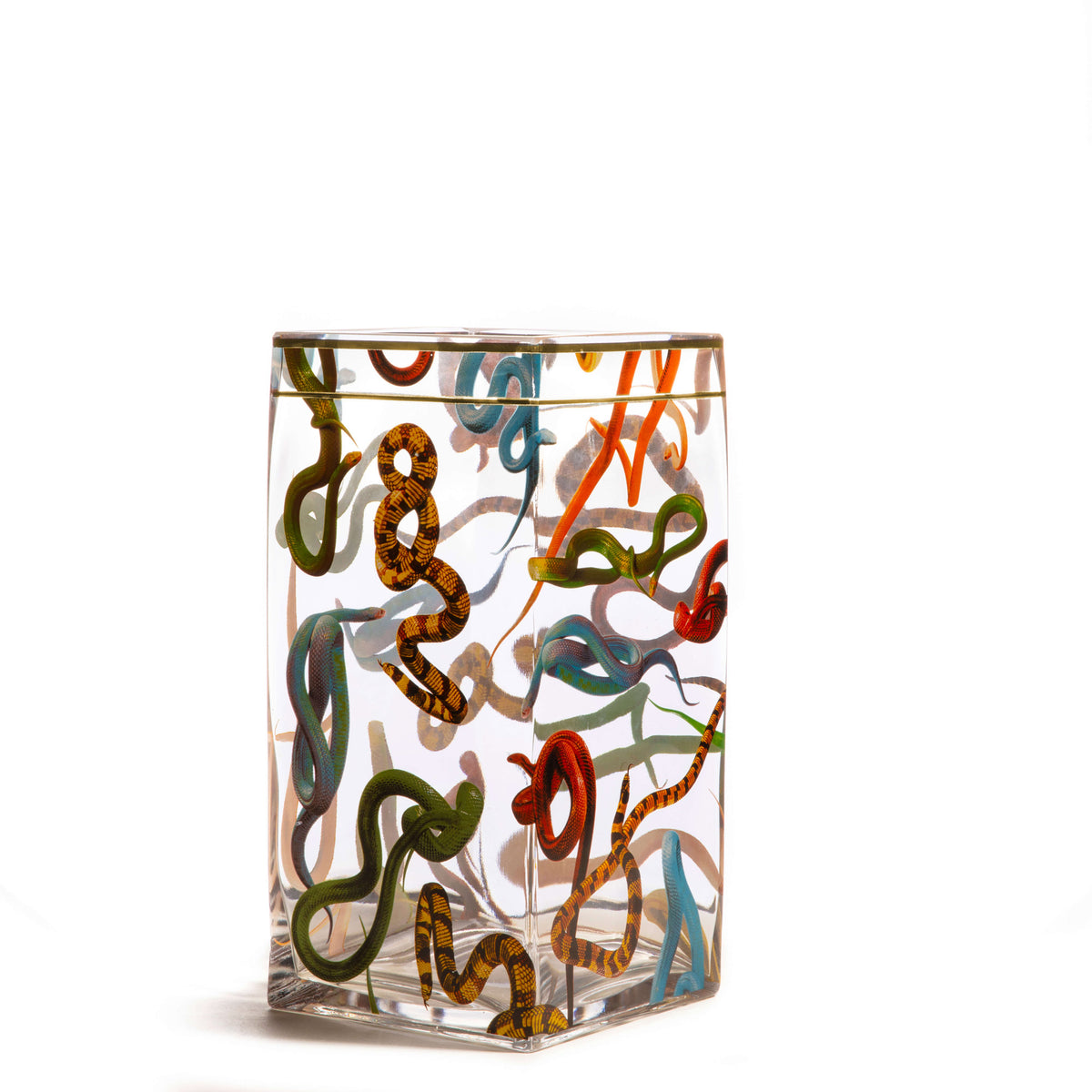 Seletti x TOILETPAPER Square Glass Vase - Medium & Large