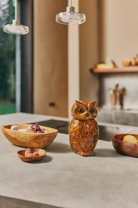 Acacia Bowl, Apple Shaped, HKLIVING