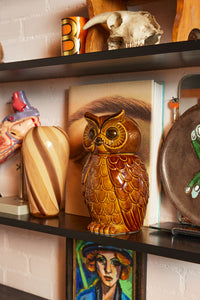 Ceramic Owl Jar, HKLIVING