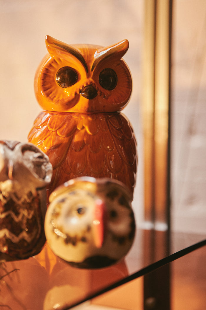 Ceramic Owl Jar, HKLIVING