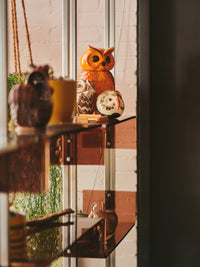 Ceramic Owl Jar, HKLIVING