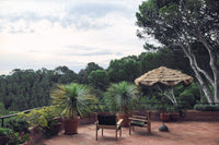 Serengeti Umbrella - Natural Raffia Outdoor Parasol by HKLIVING