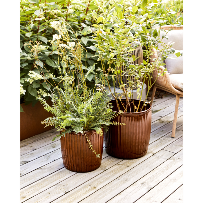 Large and medium House Doctor planters styled with tall green plants