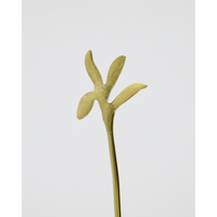 Botanical-inspired appetiser forks in antique gold finish