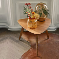 Triangle Coffee Table