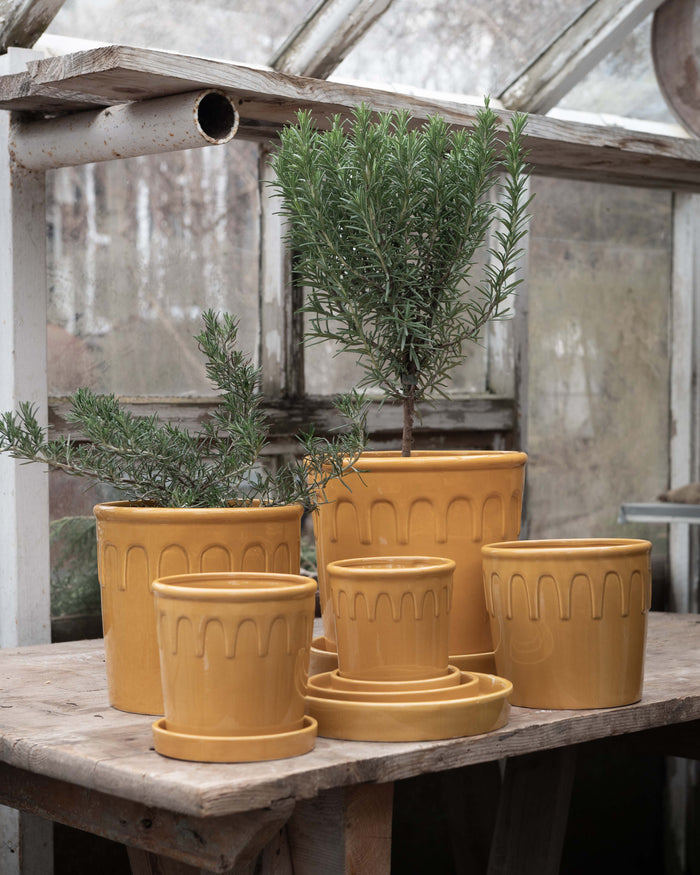 Neutral ceramic plant pots styled on table with soft lighting