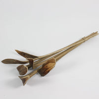 Shoehorn Twig 7-Pack - Dried Decorative Twigs for Natural Home Decor