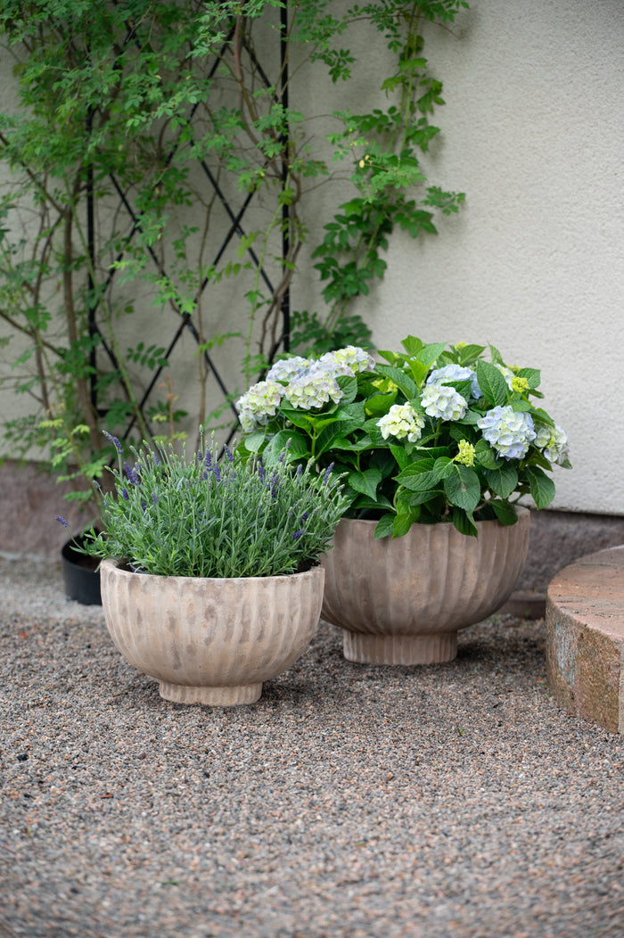 Set of 3 rustic stone planters styled on patio from North Home