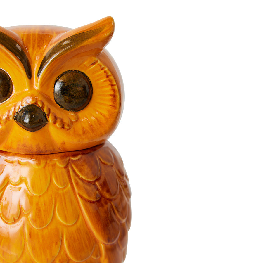 Ceramic Owl Jar, HKLIVING