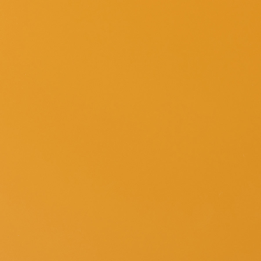 Cupboard by HKLIVING in Ginger Orange