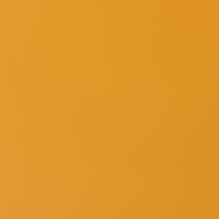 Cupboard by HKLIVING in Ginger Orange