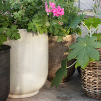 Pho Nougat Planter