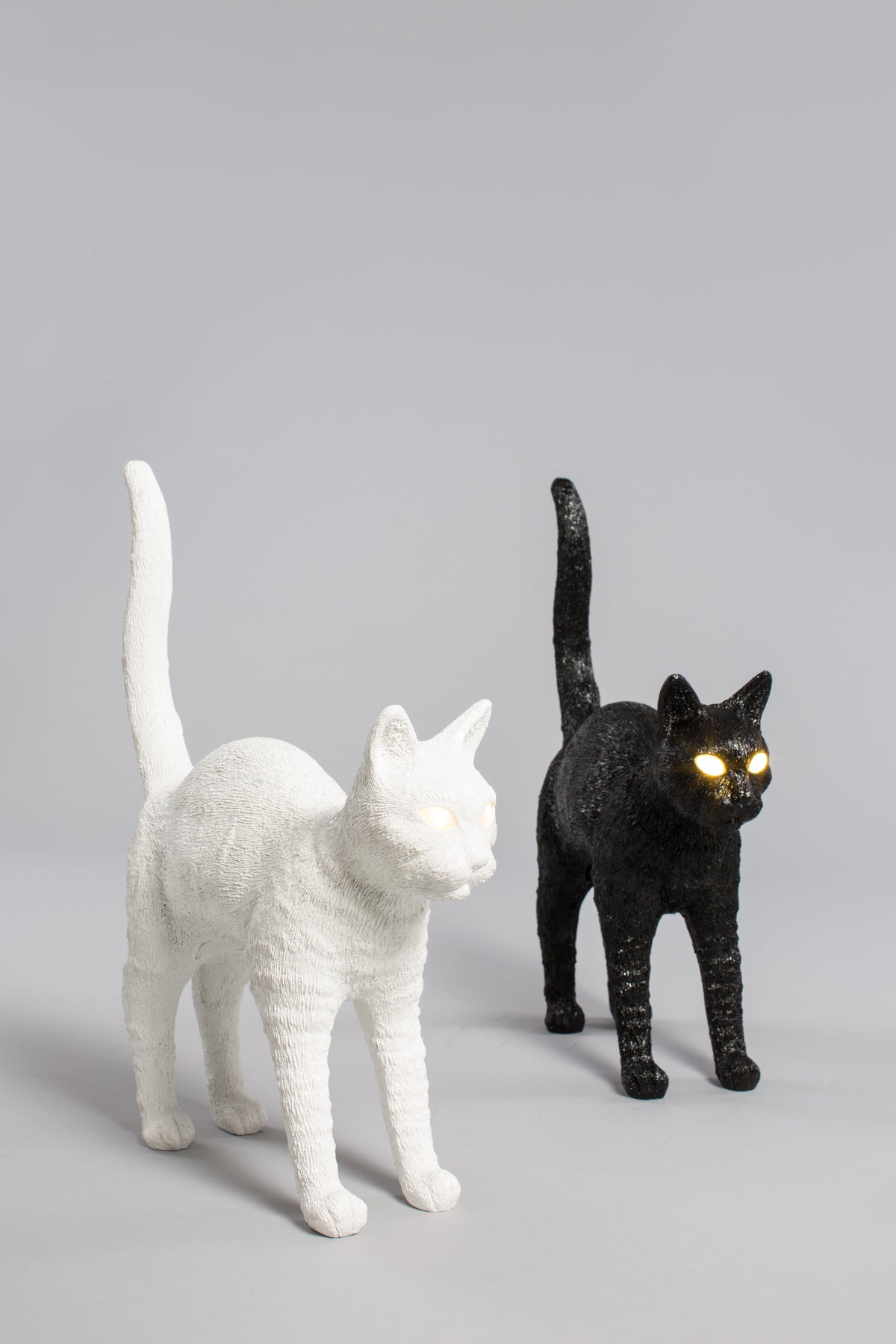 Jobby The Cat Lamp – Wireless LED Cat Lamps by Seletti in Black, White & Black-White