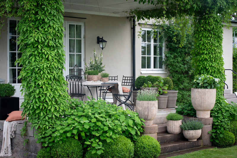 Outdoor Planters