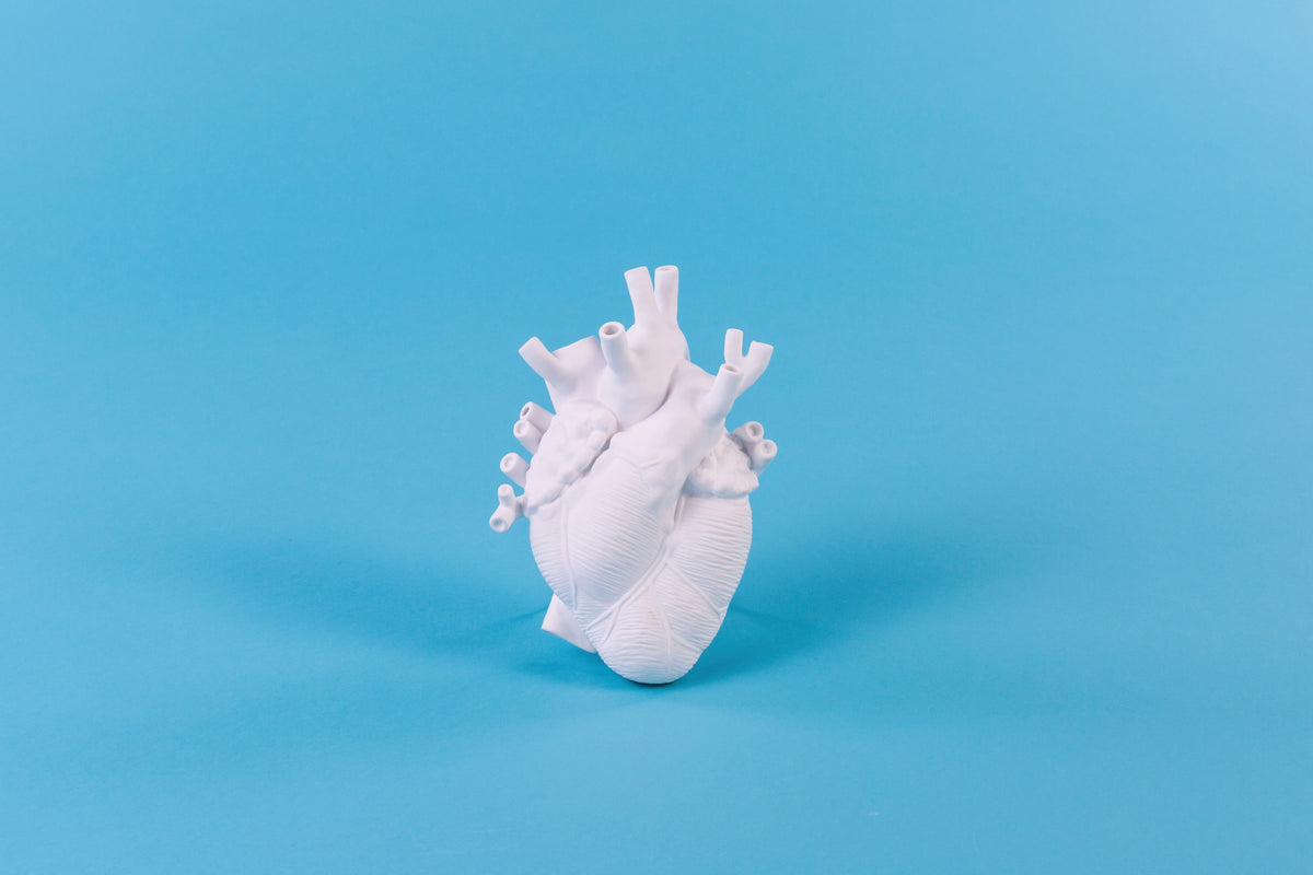 Seletti Love In Bloom White Porcelain Heart Vase - Anatomical Heart Design
