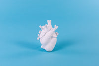 Seletti Love In Bloom White Porcelain Heart Vase - Anatomical Heart Design
