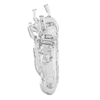 Seletti Love In Bloom Glass Vase - Transparent Anatomical Heart Vase