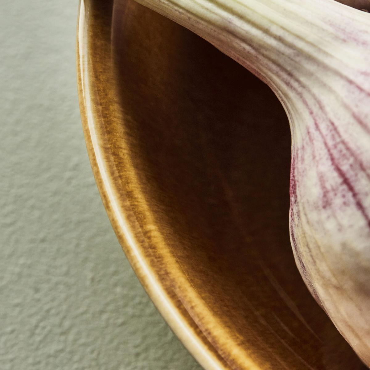 Set of 4 Bowls, Mocha Brown by Nicolas Vahe