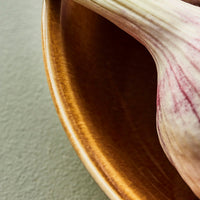 Set of 4 Bowls, Mocha Brown by Nicolas Vahe