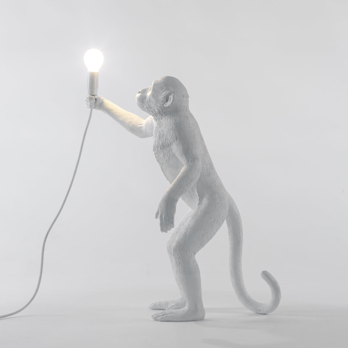 Seletti Monkey Lamp Collection - Black Monkey Lamp, White Monkey Lamp, Standing, Sitting, Hanging, Ceiling, and Swing