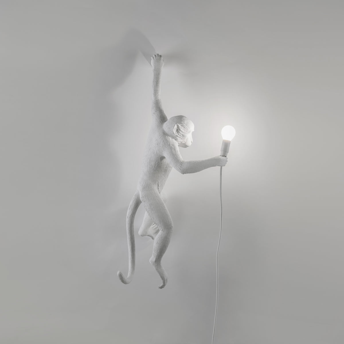 Seletti Monkey Lamp Collection - Black Monkey Lamp, White Monkey Lamp, Standing, Sitting, Hanging, Ceiling, and Swing