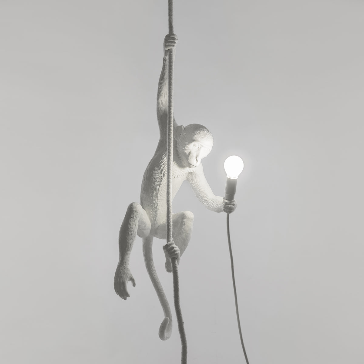 Seletti Monkey Lamp Collection - Black Monkey Lamp, White Monkey Lamp, Standing, Sitting, Hanging, Ceiling, and Swing