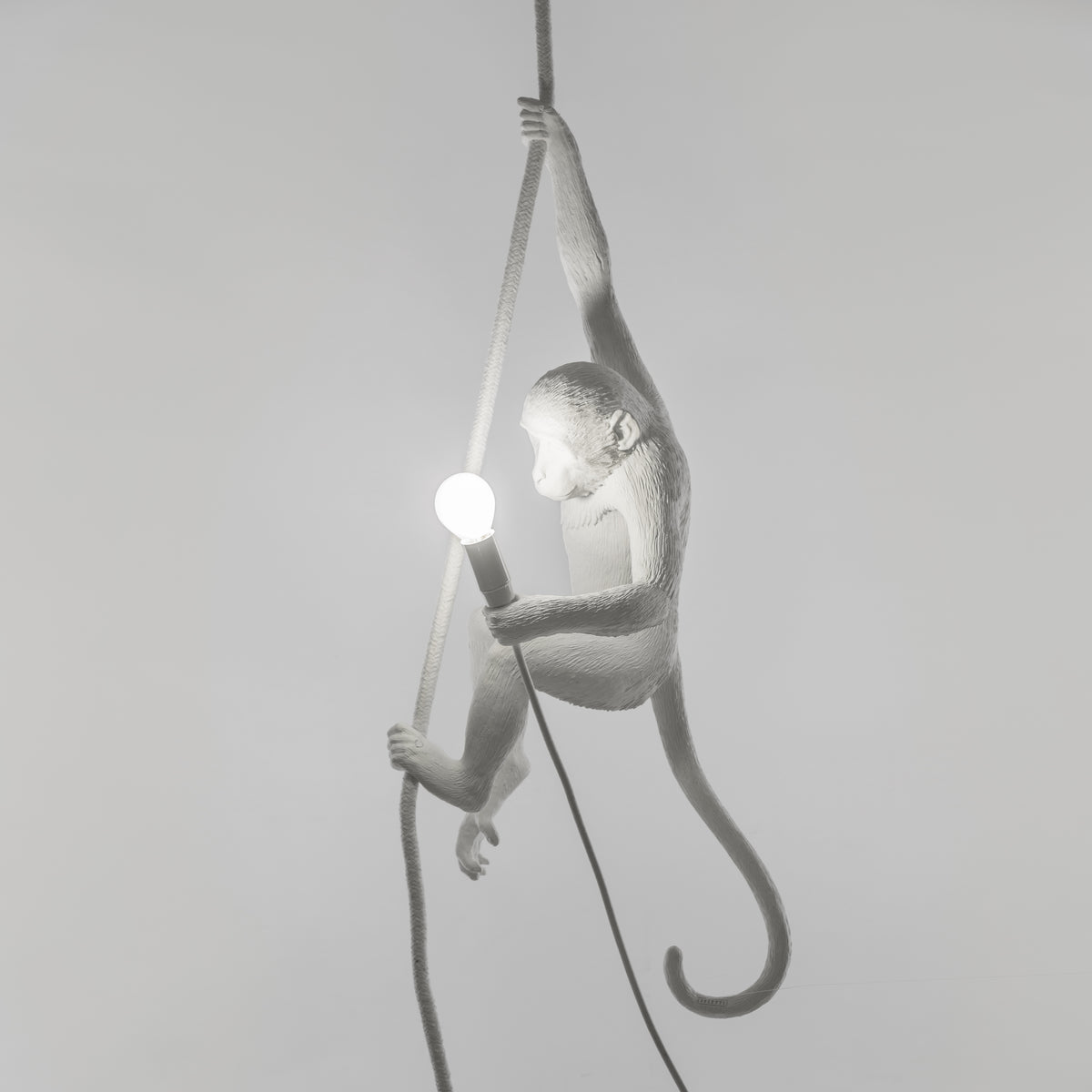 Seletti Monkey Lamp Collection - Black Monkey Lamp, White Monkey Lamp, Standing, Sitting, Hanging, Ceiling, and Swing