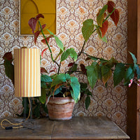 60s style hkliving lamp shade with ornage pink stripes on an old side table with a plant that is lioving life