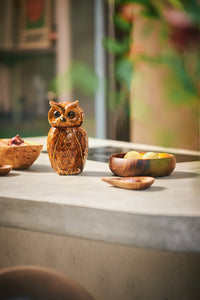 Ceramic Owl Jar, hkliving