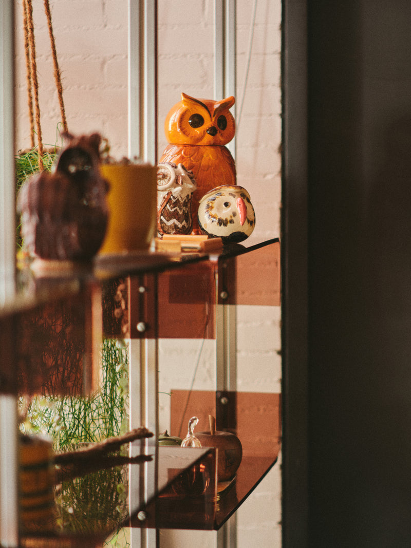 Ceramic Owl Jar, hkliving