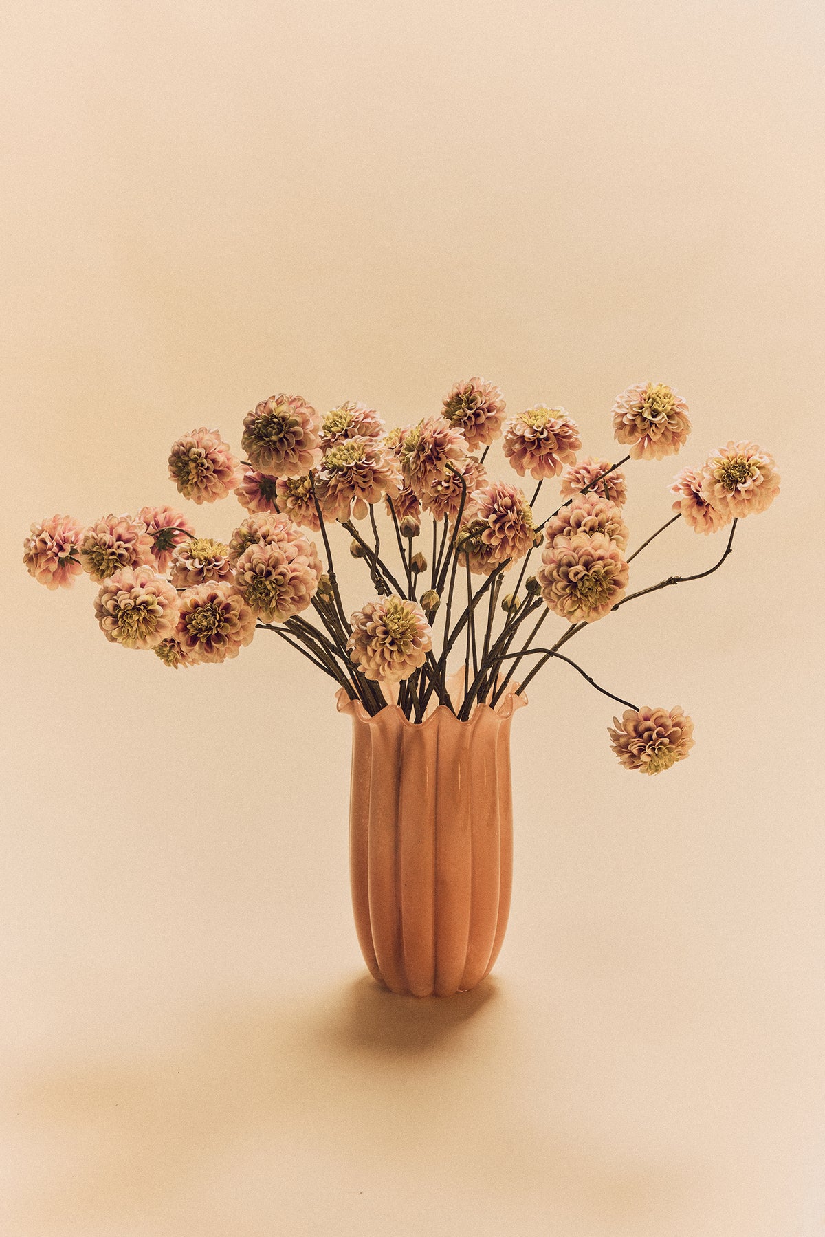 Ribbed glass vase in peach by HKLIVING filled with dried dahlia stems, styled on a beige background