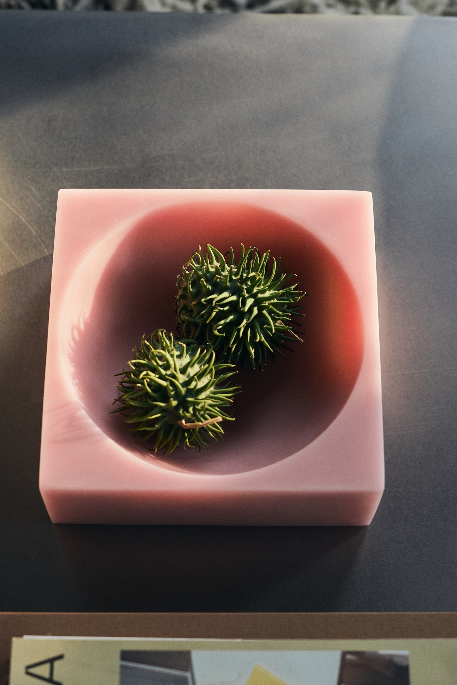 Overhead close-up of HKLIVING Pop Cube Large in Pink holding spiky dried botanical objects on a dark surface