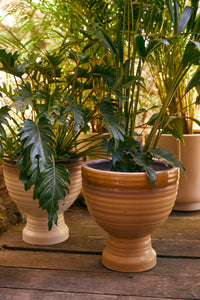 HKLIVING stoneware pedestal planters planted with tropical plants on a wooden deck