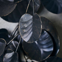 Eucalyptus Black Wreath