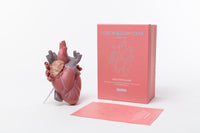 Seletti Love In Bloom Colour Vase – Lifelike Anatomical Heart Vase