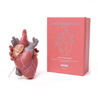 Seletti Love In Bloom Colour Vase - Lifelike Anatomical Heart Vase