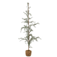 Tall slender frosted green Vita artificial tree with a moss-wrapped root ball base on a white background