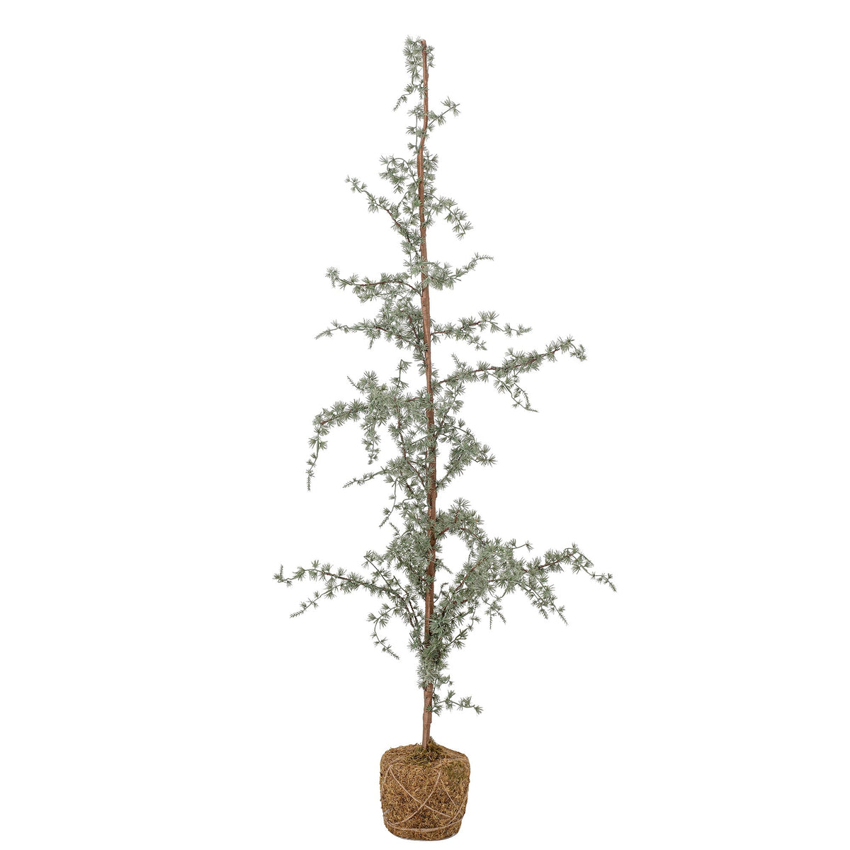 Tall slender frosted green Vita artificial tree with a moss-wrapped root ball base on a white background