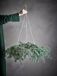 Hand holding the Cedar wreath up by its jute cords against a grey wall, showing the flat hanging ring of green branches