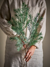 Person in a linen shirt holding the frosted green Pine Stem in both hands