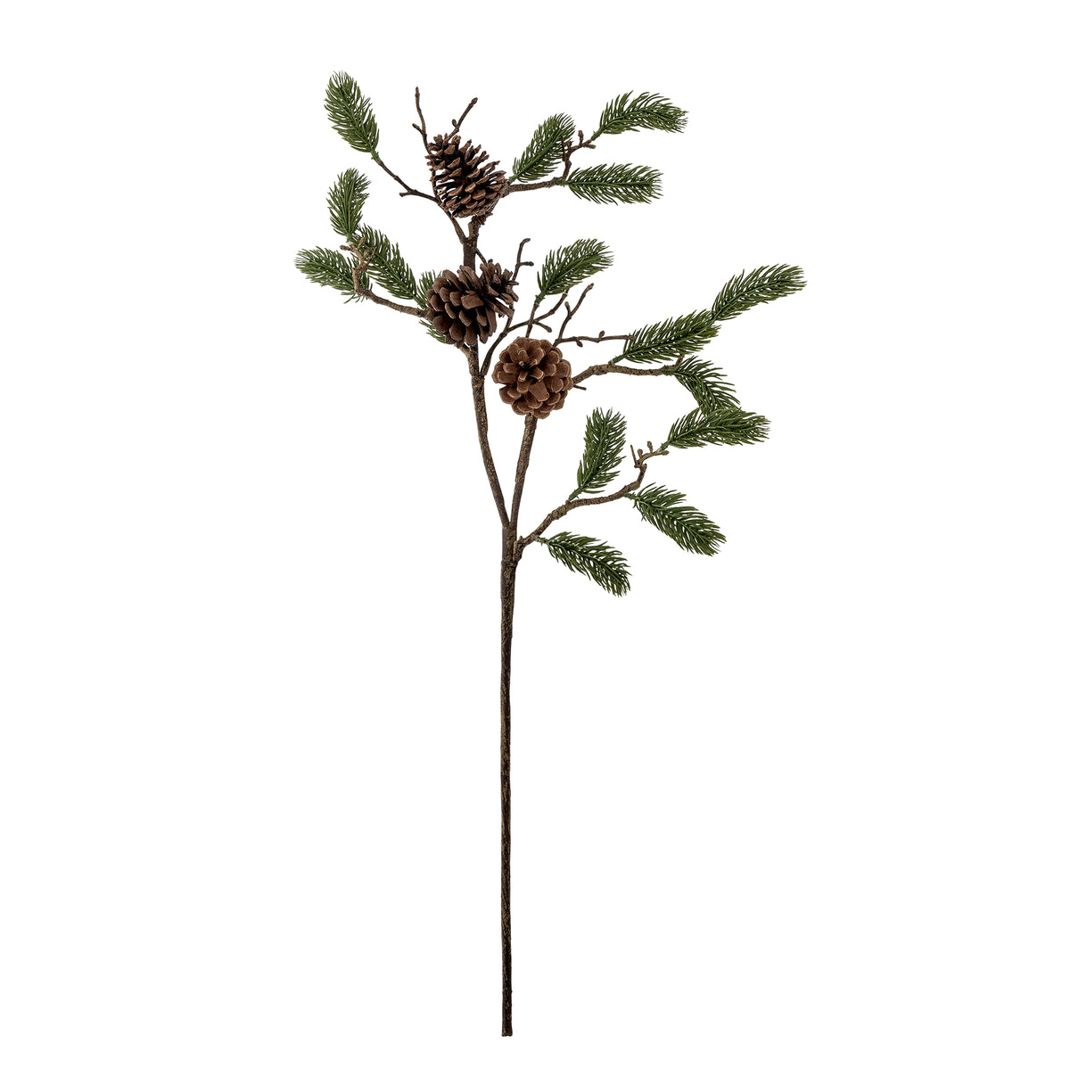 Pine Stem with three brown pine cones and green needles on a slender grey-brown stem on a white background