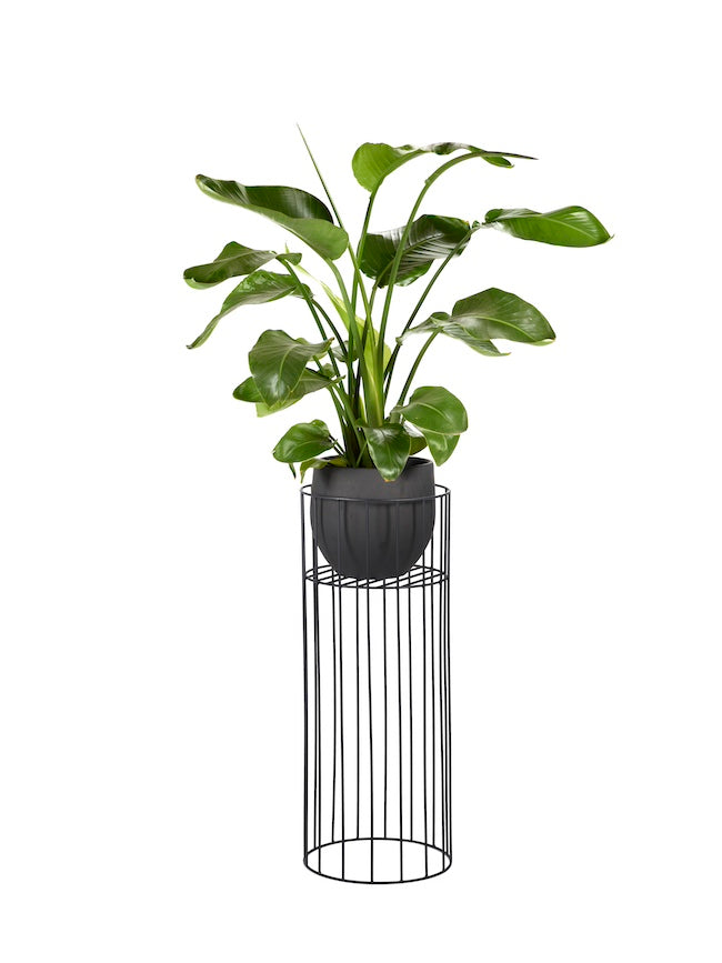 PLANT STAND M BLACK VASARO