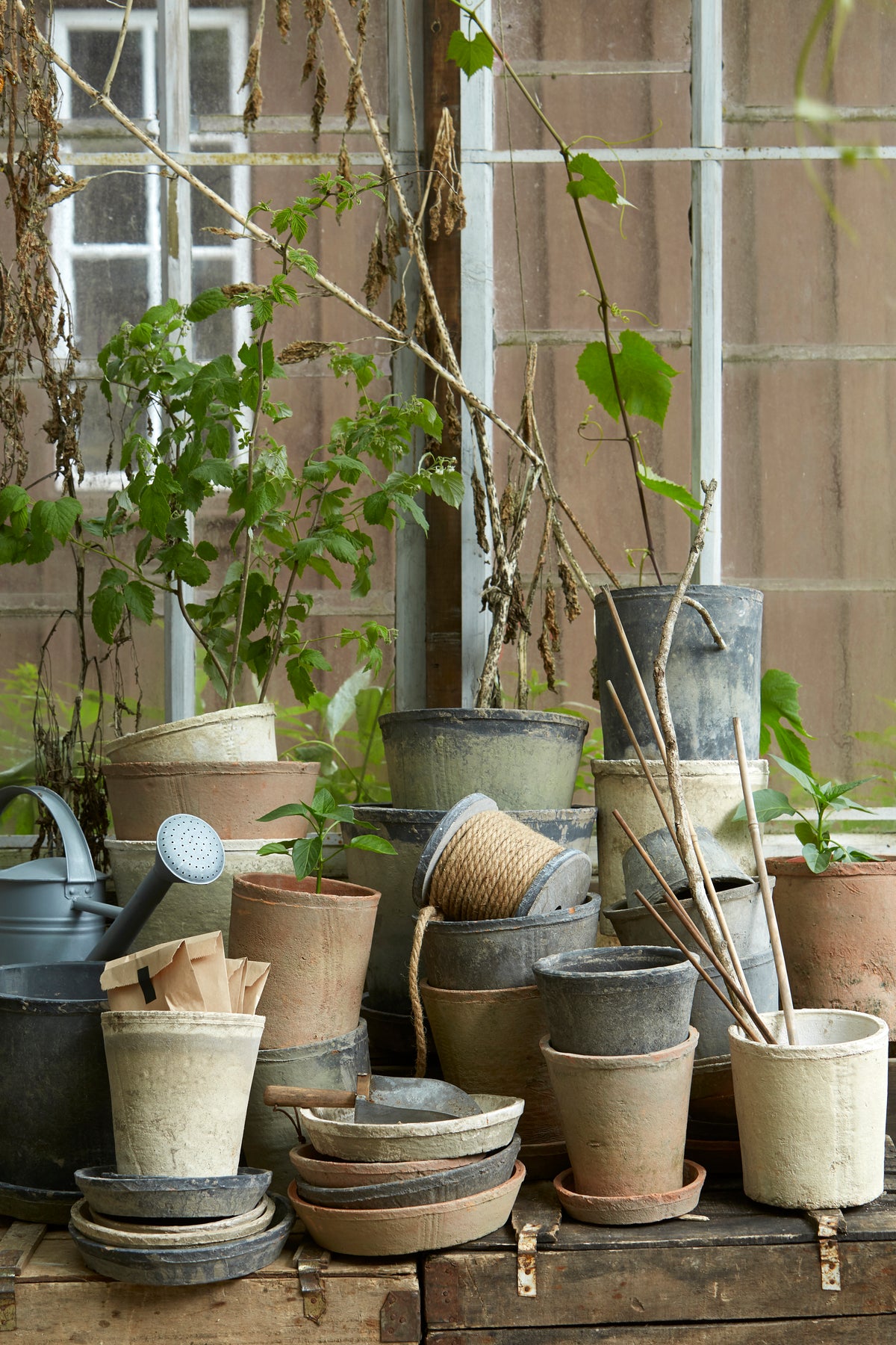Nordic-style ceramic pots for plants with matching saucers