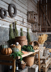 Warm-toned bristle grass styled with pumpkins and produce