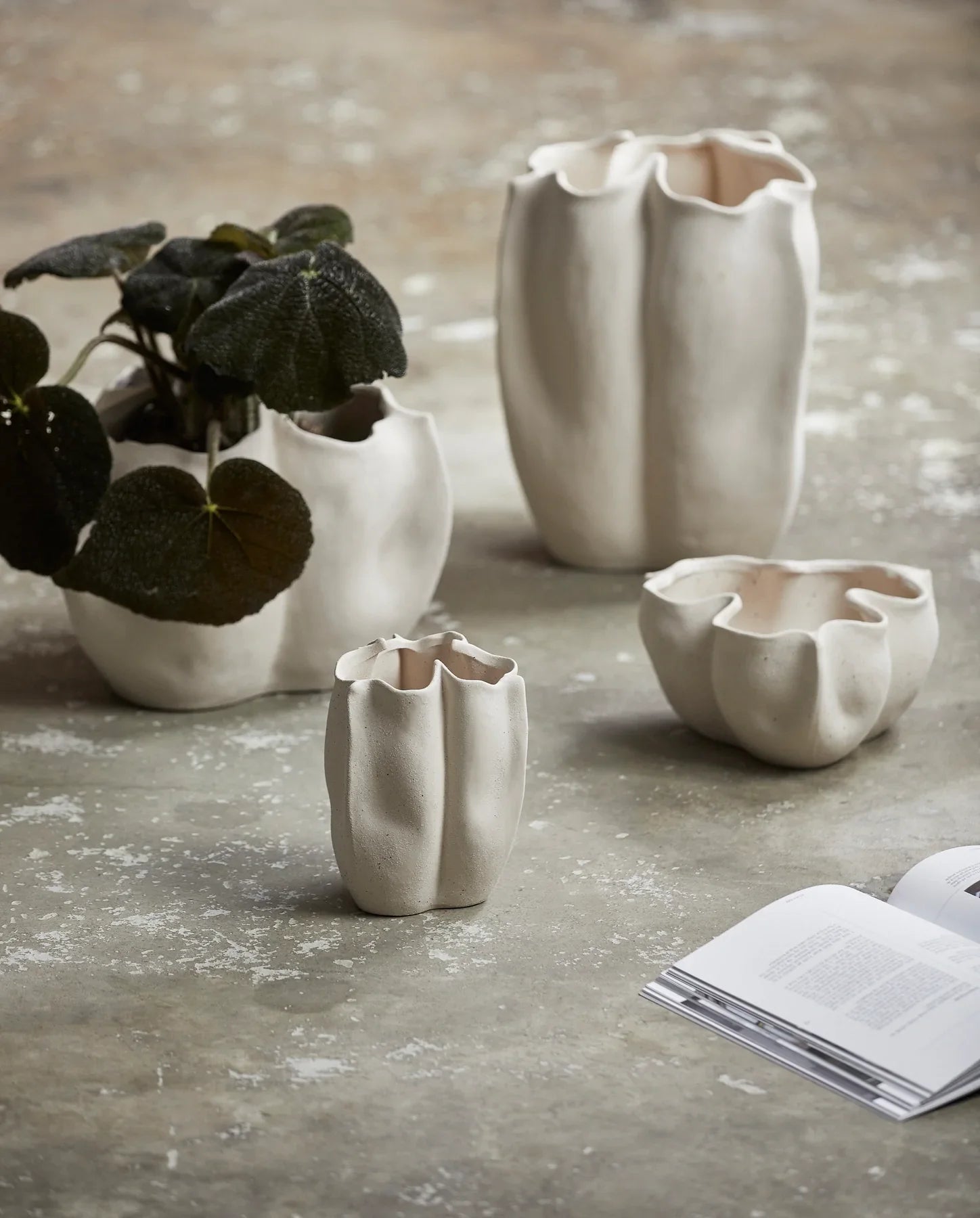 Isabela Vase Xl