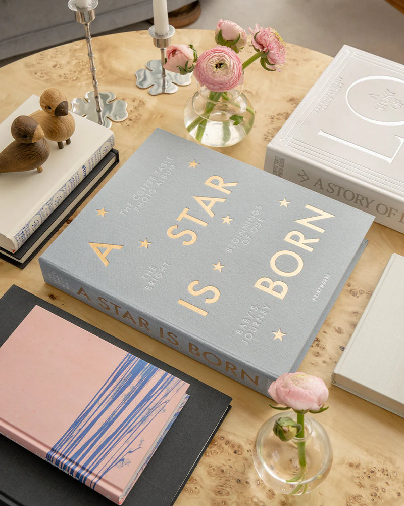 grey A Star Is Born baby album displayed among books and décor
