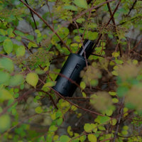 bottle of fischersund number 101 perfume in the branches of an elderflower bush